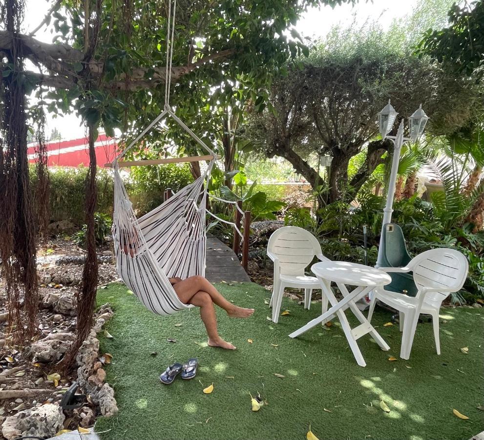 Habitacion Agregada, Suite Frente A La Piscina 2 P Habitacion No Casa Completa San Vicente Raspeig Exterior foto